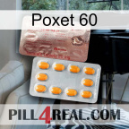 Poxet 60 new13